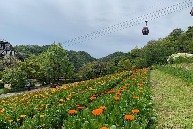 Kobe private tour from Osaka (Shore excursion available from Osaka or Kobe port) - Guides, group size, and the value of personal attention
