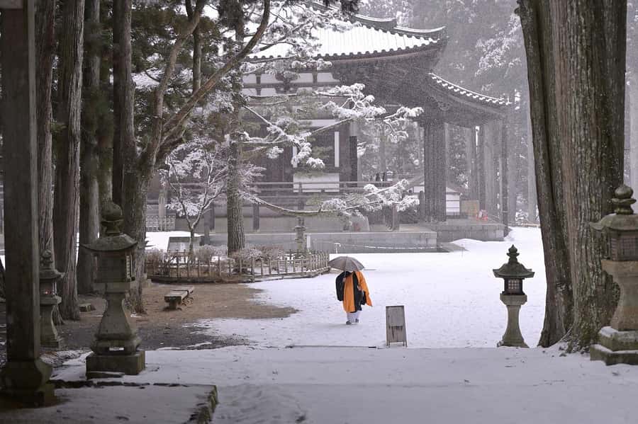 Koyasan: A Mysterious Meditation Journey - The experience depends on how you plan it