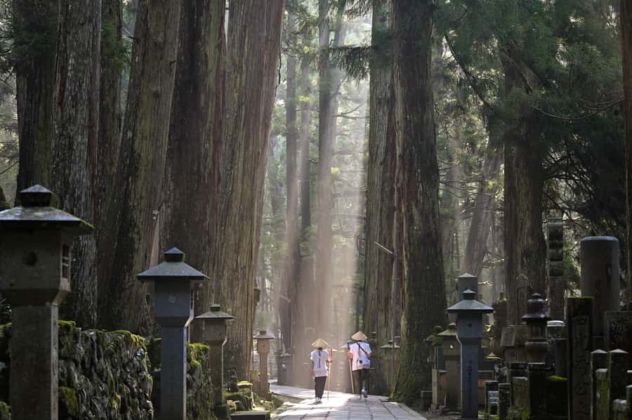 Koyasan: A Mysterious Meditation Journey - Passing through the 25-meter Daimon Gate