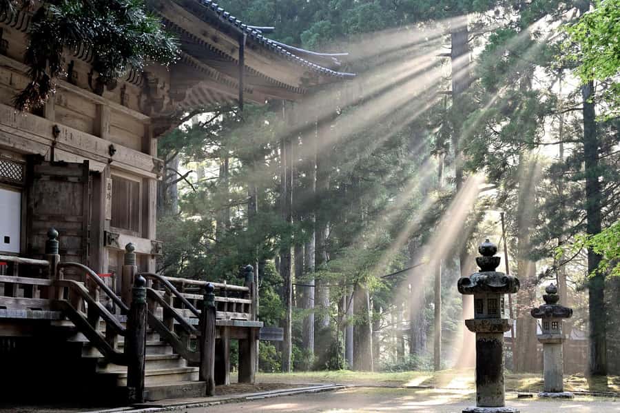 Koyasan: A Mysterious Meditation Journey - Okuno-in, cedar trees, and Kobo Daishi