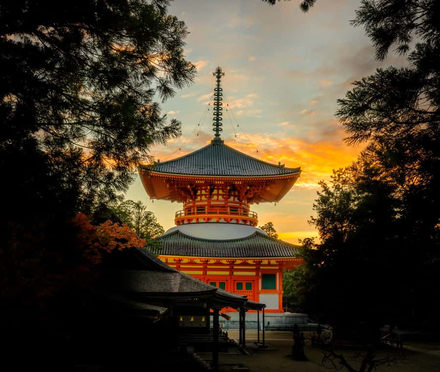 Koyasan: A Mysterious Meditation Journey - What $539 means for a group of five