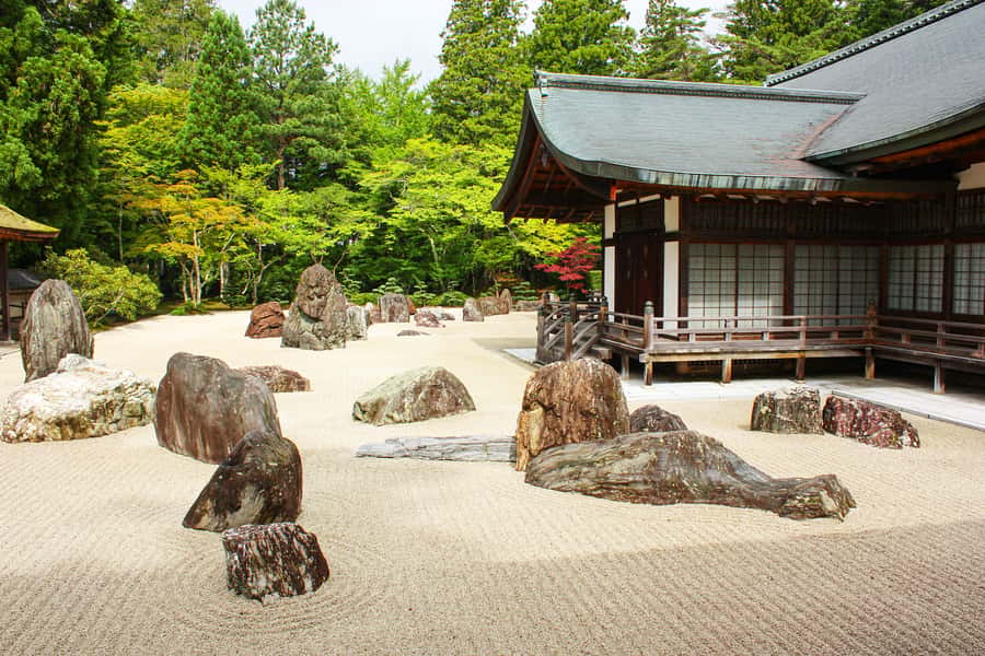 Koyasan: A Mysterious Meditation Journey - The two-hour ride from Osaka or Kyoto