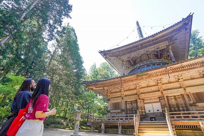 Koyasan Day Trip by Private Car from Osaka - The Goma fire ceremony