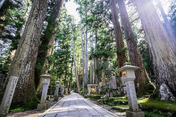 Koyasan Day Trip by Private Car from Osaka - Katsuragi-cho and the waterfall stop