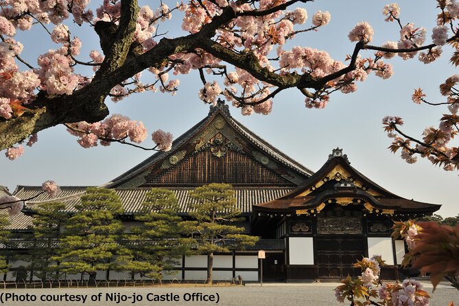 Kyoto 1 Day Tour from Osaka - Key points to know before booking