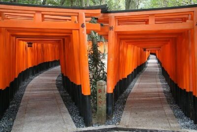 Kyoto 1 Day Tour from Osaka