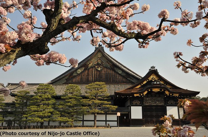 Kyoto 1 Day Tour from Osaka - Sanjusangendo: one long hall and 1,001 statues