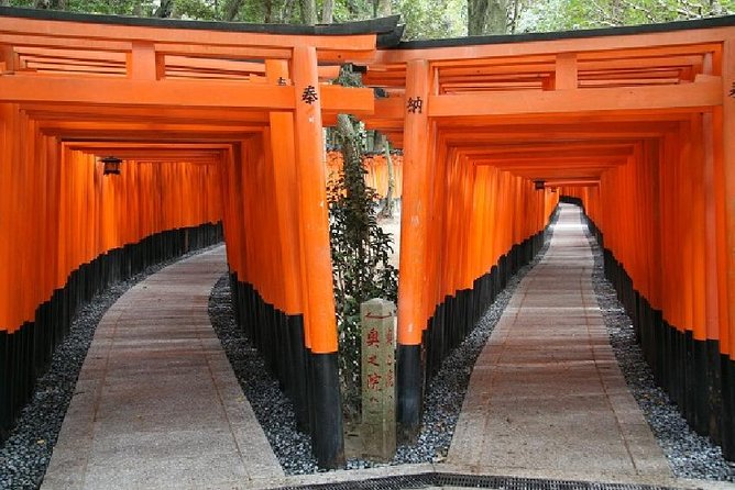 Kyoto 1 Day Tour from Osaka - Nijo Castle: Tokugawa power in wood and gold