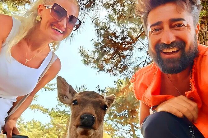 Kyoto and Nara Day Tour From Osaka with Deer Sightings - One Long Day From Osaka to Ancient Nara