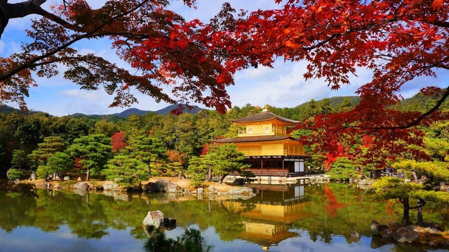 Kyoto and Nara Day Tour From Osaka with Deer Sightings - Should you book this Kyoto and Nara tour?