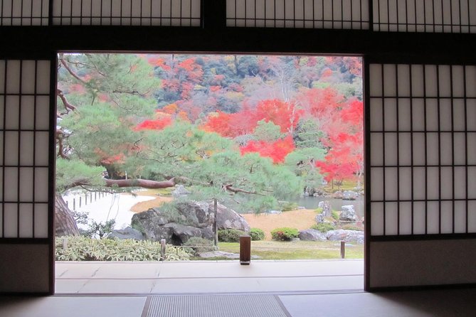 Kyoto Highlights: Arashiyama & Fushimi Inari by Private Car - Why this private Kyoto day works from Osaka