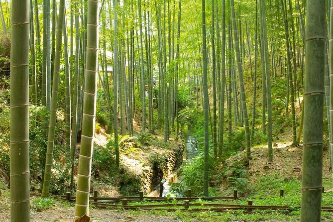 Kyoto Highlights: Arashiyama & Fushimi Inari by Private Car - What the guide adds to a private car