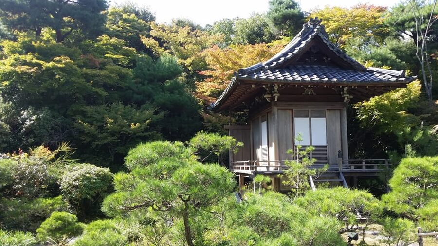 Kyoto: Immersive Arashiyama & Fushimi Inari by Private Car - Arashiyama bamboo and the quieter Okochi Sanso estate