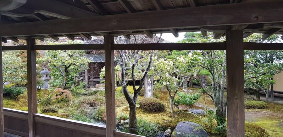 Kyoto: Immersive Arashiyama & Fushimi Inari by Private Car - The guide can shape the day