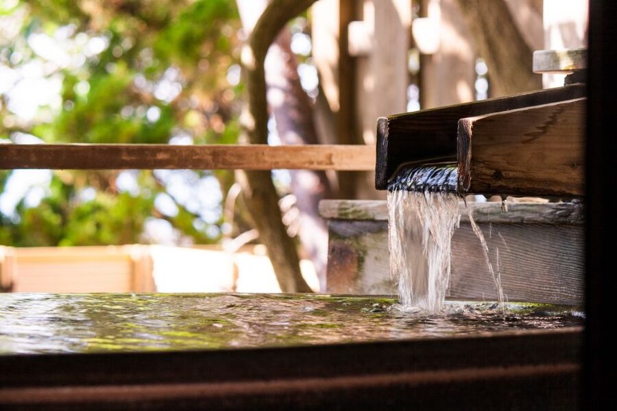 Kyoto: Immersive Arashiyama & Fushimi Inari by Private Car - What $236 per person really buys