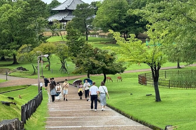 Kyoto & Nara Private customized tour with English speaking Guide - Tōdai-ji and the Great Buddha