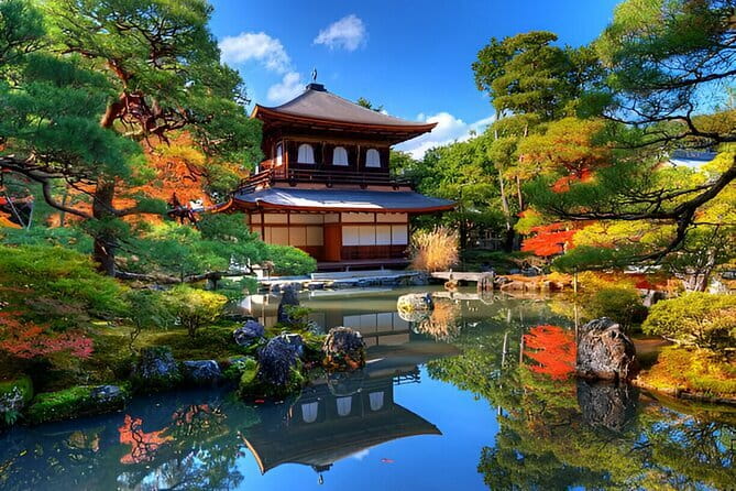 Kyoto & Nara Private Day Tour - Fushimi Inari’s torii gates