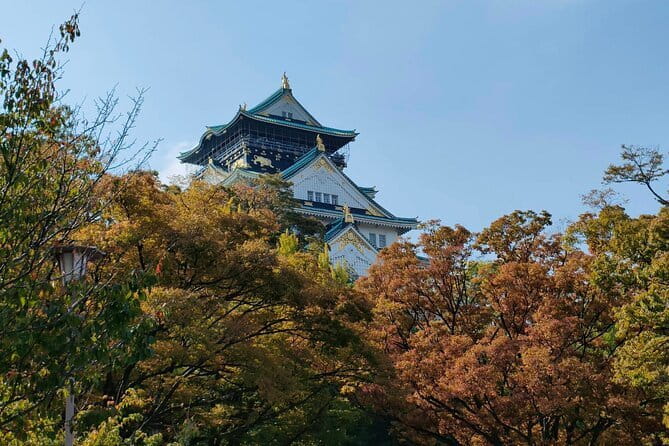 Kyoto & Nara Private Day Tour - Price, group size, and what you pay extra