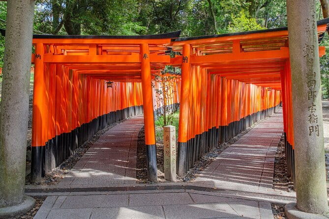 Kyoto & Nara & Uji: Full Day Sightseeing Tour from Osaka or Kyoto - Why this day trip works for a first visit