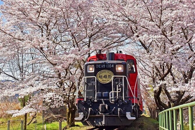 Kyoto & Nara & Uji: Full Day Sightseeing Tour from Osaka or Kyoto - The pace, vehicle, and group size