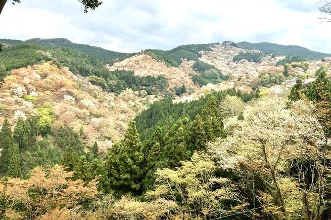Kyoto One Day Sightseeing Tour from Osaka or Kyoto - Kinkaku-ji, Kyoto’s Golden Pavilion
