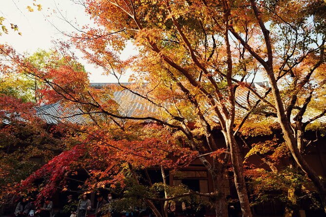 Luxury Classic Kyoto Day Tour - Private Customized Car Tour - Kiyomizu-dera and the famous wooden stage