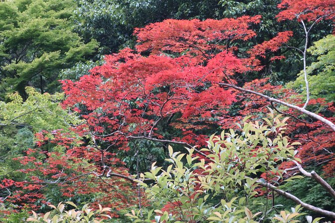 Minoh Waterfall and nature walk through the Minoh Park - Why Minoh Waterfall makes a good Osaka escape
