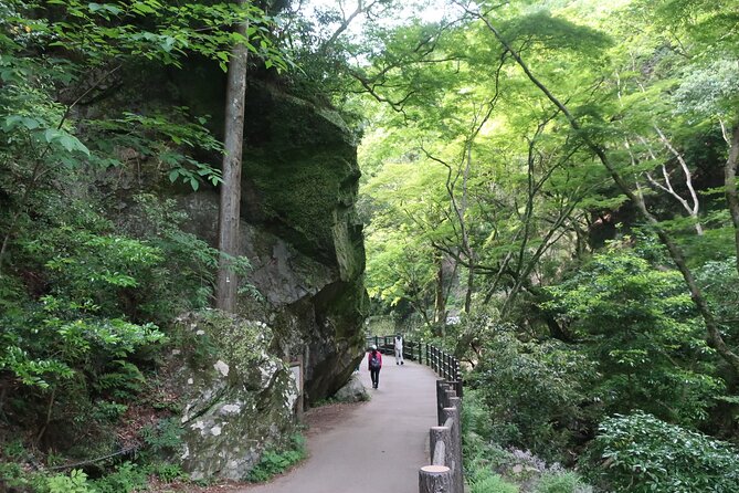 Minoh Waterfall and nature walk through the Minoh Park - The uphill walk on paved park roads