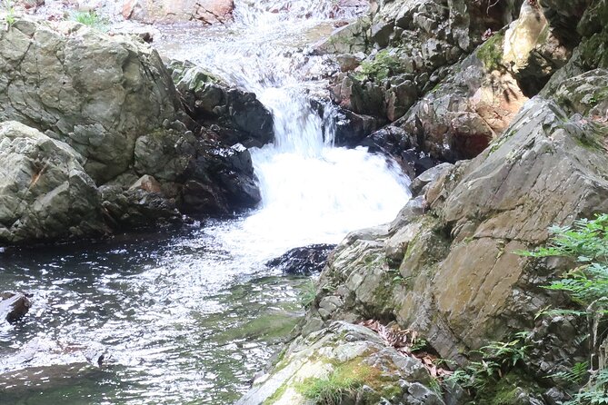 Minoh Waterfall and nature walk through the Minoh Park - Arriving at the 33-meter Minoh Waterfall