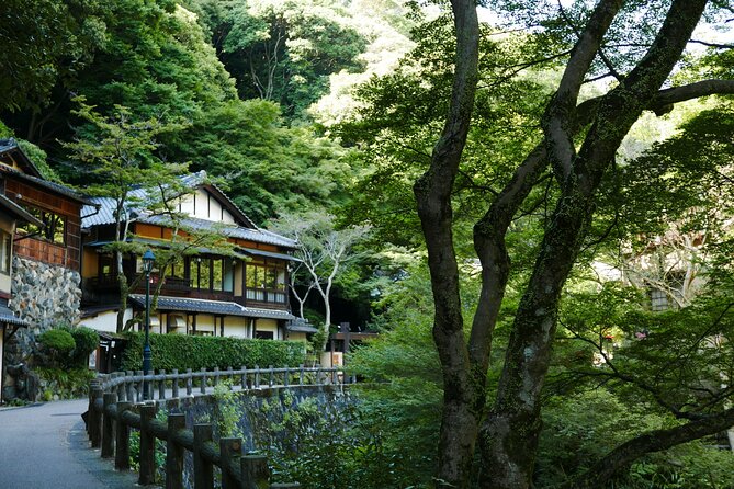 Minoh Waterfall and nature walk through the Minoh Park - How the private guiding affects the day