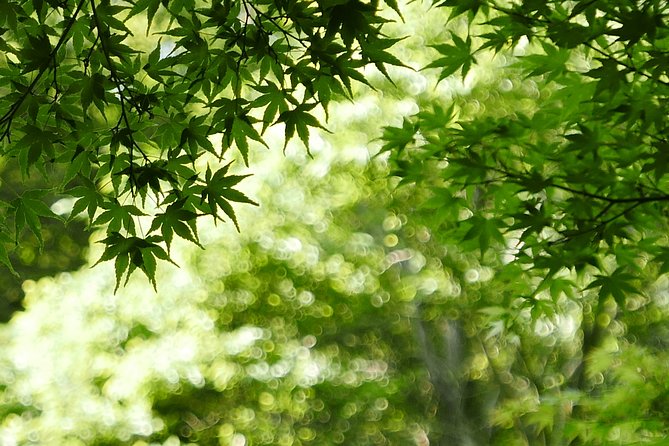 Minoh Waterfall and nature walk through the Minoh Park - Starting at Osaka Station and taking the Hankyu railway