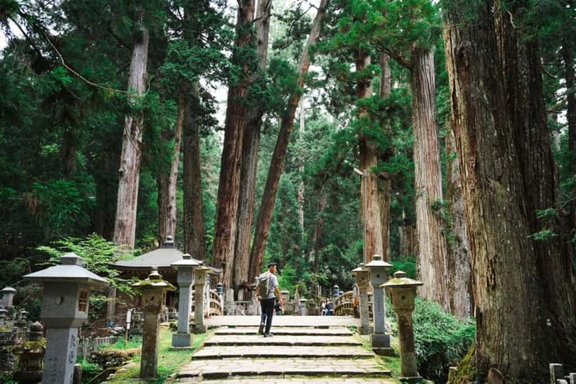Mount Koya from Osaka: Cultural Small Group Day Tour - Why Mount Koya feels different from Osaka