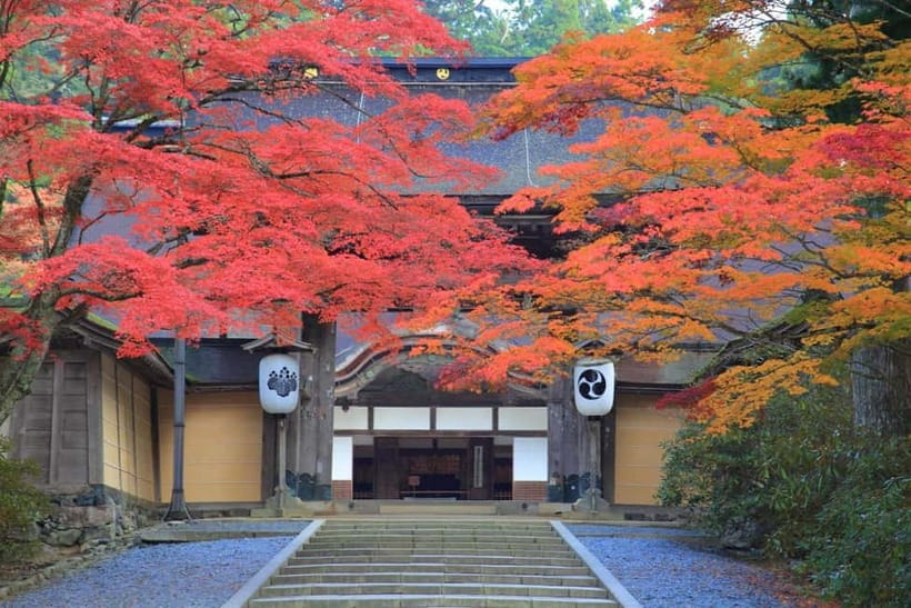 Mount Koya from Osaka: Cultural Small Group Day Tour - Kongobuji and Banryutei’s stone dragons