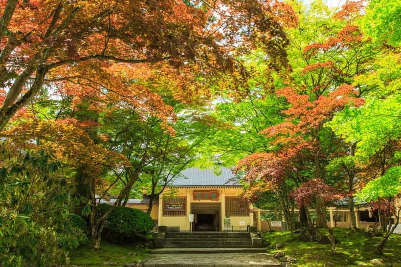 Mount Koya from Osaka: Cultural Small Group Day Tour - Who should book this Mount Koya tour?