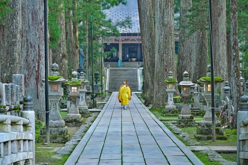 Mount Koya from Osaka: Cultural Small Group Day Tour - A quiet Buddhist meal with shojin ryori