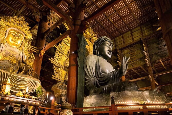 Nara 8hr Private Tour - Osaka DEP. with Licensed Guide - The four decisions that shape your Nara day