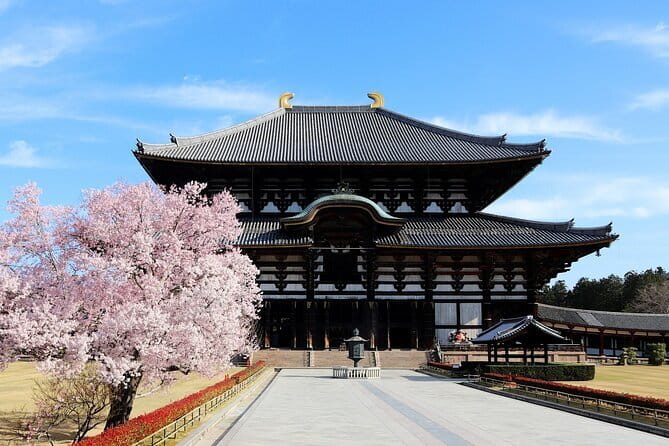 Nara Day Trip from Osaka with a Licensed Guide - Who will enjoy this day most