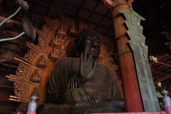 Nara Early Morning Tour (Osaka Departure Option) - Why an early Nara start makes sense