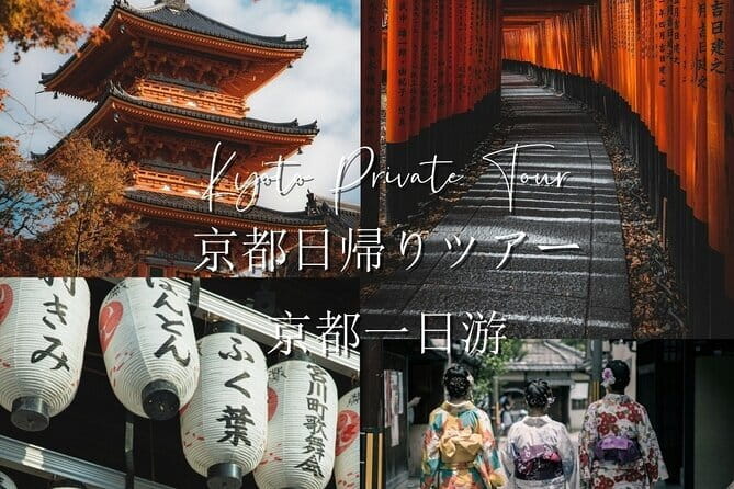 Nara Early Morning Tour (Osaka Departure Option) - Kasuga Grand Shrine and its lanterns