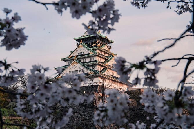 Nara Early Morning Tour (Osaka Departure Option) - Todaiji Temple and the Great Buddha