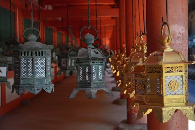 Nara Early Morning Tour (Osaka Departure Option) - What the $87.96 price buys you