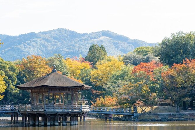 Nara : Private Day Walking Tour (From Osaka/Kyoto Possible) - The Guide Versus a Self-Guided Nara Day