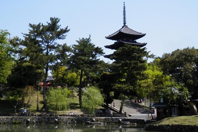 Nara Private Tour by Public Transportation from Osaka - Nara Park and its famously hungry deer