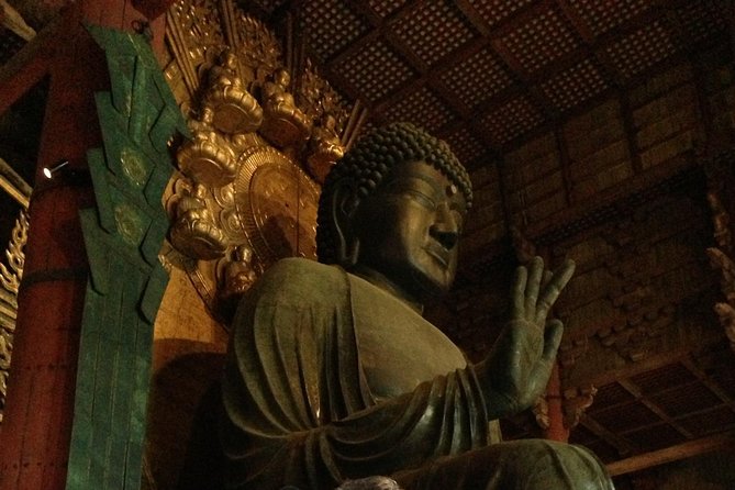Nara private tour (Shore excursion available from Osaka or Kobe port) - Kasuga Grand Shrine among the lanterns and deer