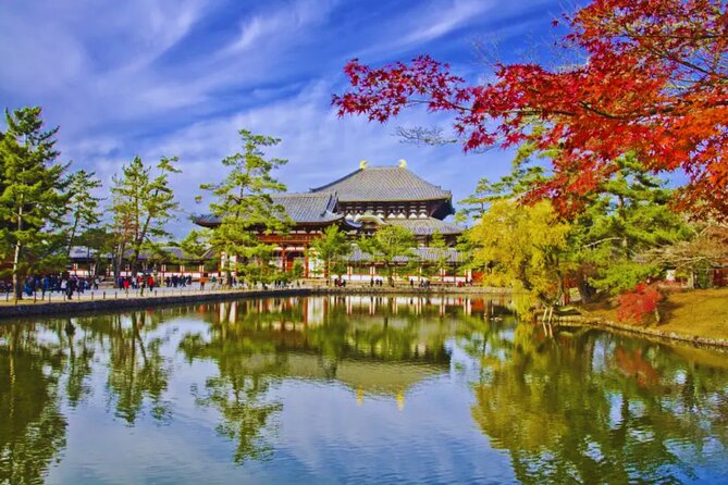 Nara, Todaiji Temple & Kuroshio Market Day BUS Tour from Osaka - Wakayama Castle: a quick look at Japan’s warrior past