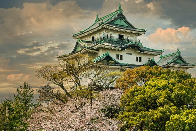 Nara, Todaiji Temple & Kuroshio Market Day BUS Tour from Osaka - Bus comfort, timing, and the real cost of the route