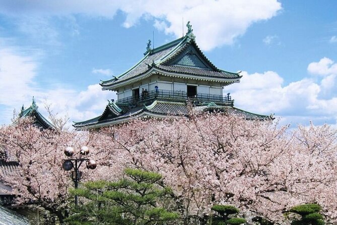 Nara, Todaiji Temple & Kuroshio Market Day BUS Tour from Osaka - Should you book the Wakayama and Nara bus tour?