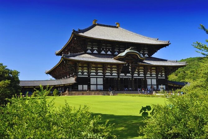 Nara, Todaiji Temple & Kuroshio Market Day BUS Tour from Osaka - Kuroshio Market and the tuna-cutting show