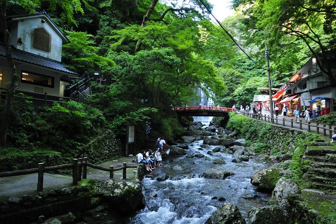 Nature Walk at Minoo Park, the Best Nature and Waterfall in Osaka - Yamamoto Coffee-kan and the finish with a drink