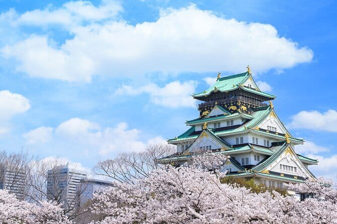Official Japan Go-Kart Through Osaka Castle - Midosuji and the polished side of Minami